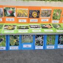 초록바람 이미지