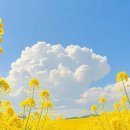 행복한하루 이미지