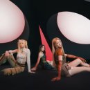 베이비 그룸 티스토리