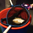 못난이샤크 실내바다낚시터 이미지