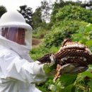 횡성119안전센터 이미지