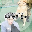 유미사 이미지