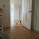 뽀삐살롱 이미지