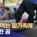 음식 먹는 일가족에 접근한 곰 이미지