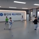 용인대 정도태권도장 이미지