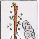 마이너카드 Ace Of Wands(완드 에이스) 이미지