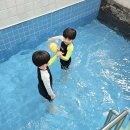 장성편백키즈펜션 | 장성 키즈풀빌라 하비스트랜드 아이랑 가기 좋은 광주근교 독채펜션 추천