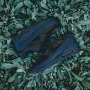 윈터블루(Winter blue) 이미지