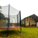 도그 팰리스 이미지