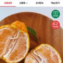 우체국쇼핑) 제주 한라봉 하우스 가정용 2kg 무배 11830원 이미지