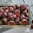 왕축농원 이미지