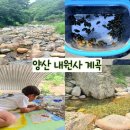내원사 - 1060 | 울산 근교 계곡 추천 내원사 계곡 다녀온 후기 양산 내원사 계곡 주차장 아이랑 가볼만한 곳