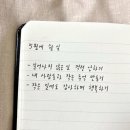 푸른달, 하루