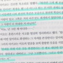 영도 발레에 빠지다 백조의 호수 | 잠자는 숲