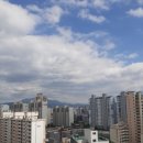에코그린방충망 이미지