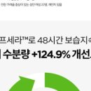 세라테라피 이미지