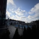 오션비치스파애견펜션 이미지