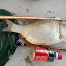 주봉낚시터 이미지