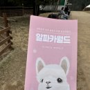 씨스페이스 남문시장점 | 강원도 여행 코스 | 홍천 알파카월드, 양양시장 맛집부터 하조대까지 2박 3일 첫째 날 후기