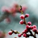 기산세탁 이미지