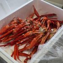 후포수협바다마트 이미지