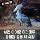 [내돈내산]경남 사천 아이랑 아라마루 동물원 BIG 4 이용 후기
