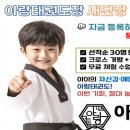 아랑태권도 이미지