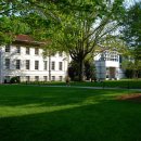 도라시마켓 이미지