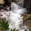 춘천마당발펜션 이미지