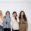 쪼꼬미네