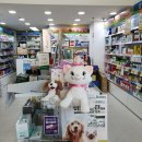 서울대림약국 이미지