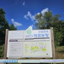 한옥목장 | 카메라로_담을수없는_아름다움🌞(feat. 해피초원목장)