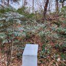 순천-79호 이미지