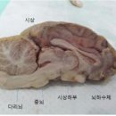 메디캠프 이미지