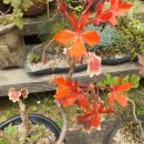 룸비니유치원 이미지