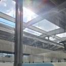 캣 팰리스 | 날씨가 오락가락하는 토요일 일상 겸 후기 - 닥터펠리스 캣트리스 매직터널 L, 가또블랑코 아이언 캣폴...