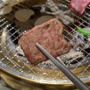 청와(아) 이미지