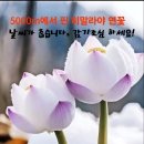햇살의료기 Daum카페
