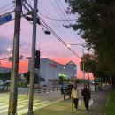 자유오토바이상사