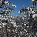 호암(주) 이미지