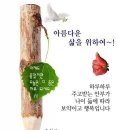 오늘;더좋은날