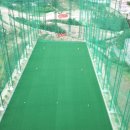 갤러리골프 이미지