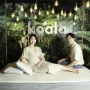 코알라홈 이미지