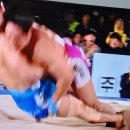 추석민속씨름 금강장사 대회 이미지