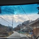 군유 목장 | 가평 스위스마을-비가와서 반만 구경하고 온 후기