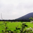 청조목장 이미지