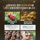 난각번호 1번 청계란 꾸지뽕 먹고자란 자유방사 청계...프리미엄 청란 20구 대해서 알아보고 후기 확인하기