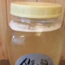 신우농장 이미지