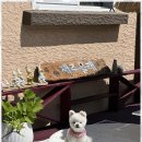 올래민박 이미지