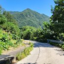 2025.8.30(토) 국토횡단 도보여행(만항재~태백역) 15km 이미지